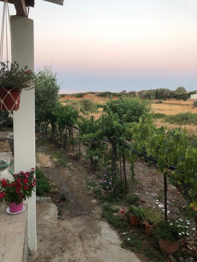 Ambelakia Bungalow Monemvasia Ngoại thất bức ảnh