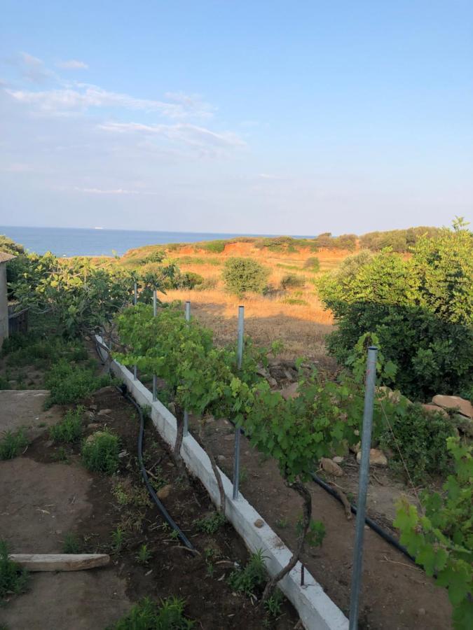 Ambelakia Bungalow Monemvasia Ngoại thất bức ảnh